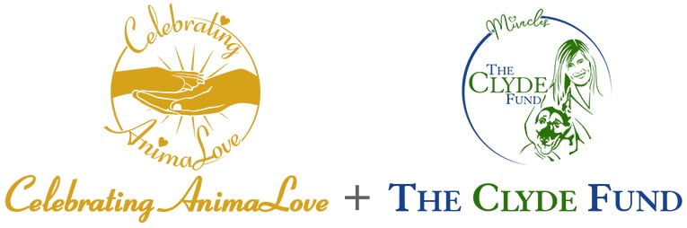 cal new clydefund header graphic