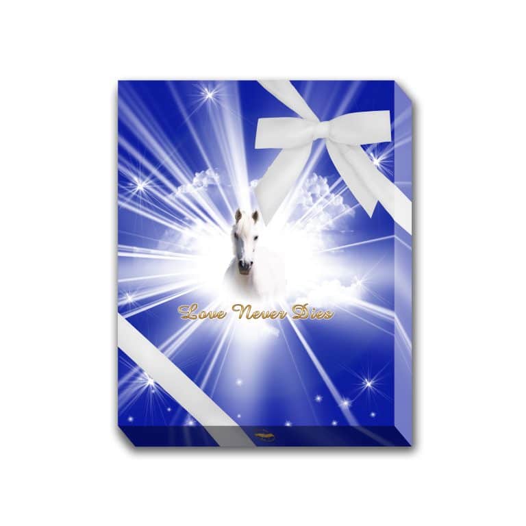 MessageEternityPresentationBox D