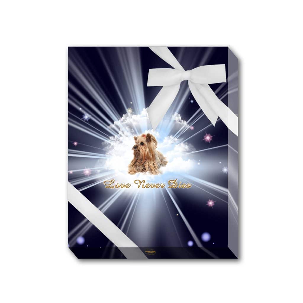 MessageMidnightPresentationBox D