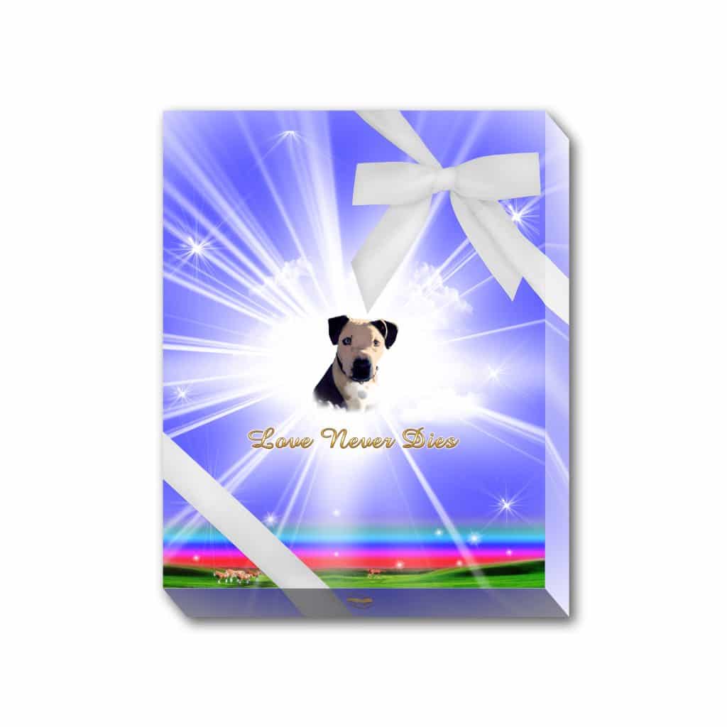 MessageRainbowBluePresentationBox D