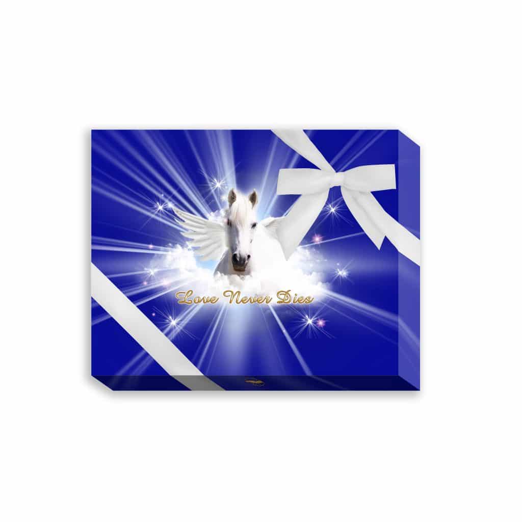 TWingsEternityPresentationBox D