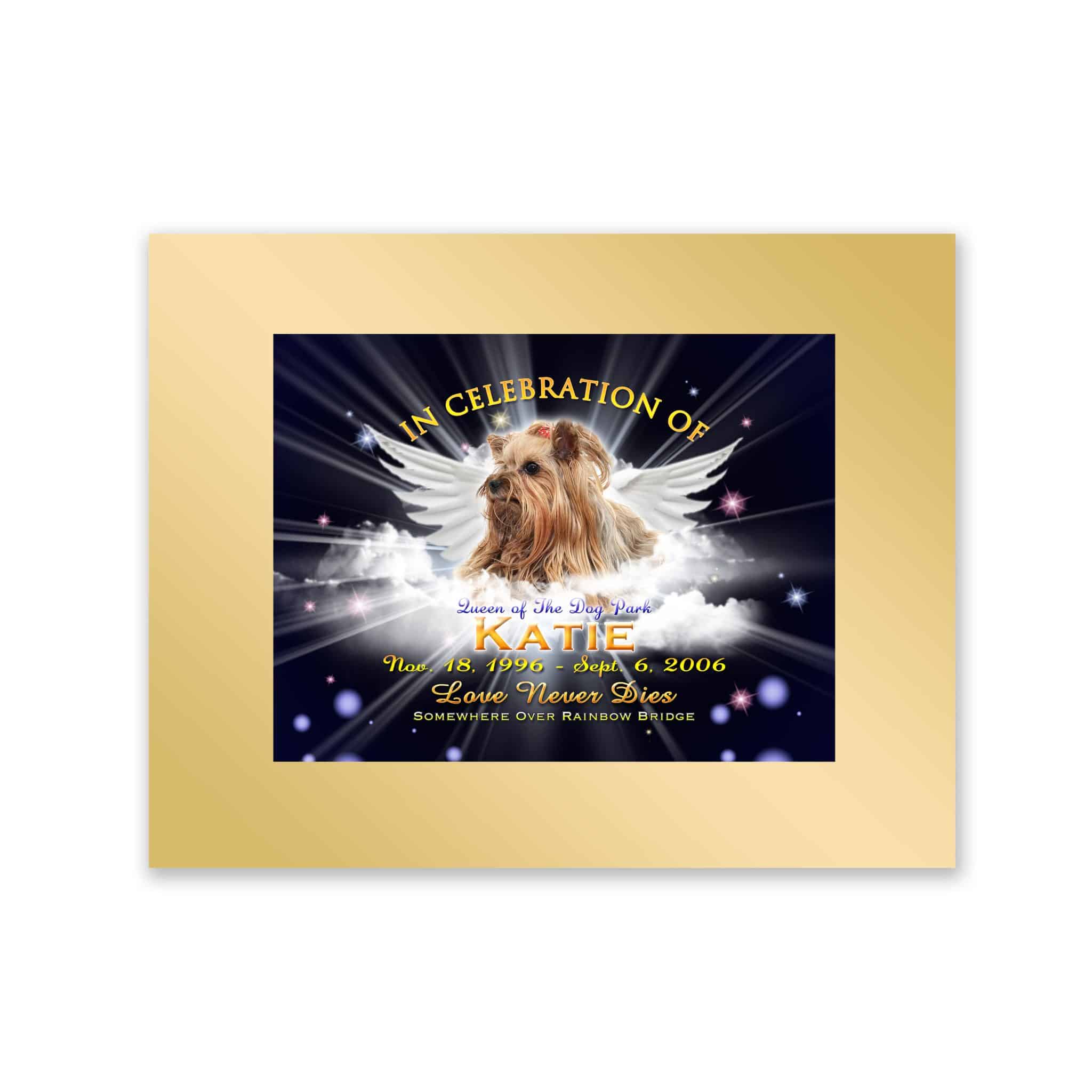 TWingsMidnightMattGold TWingsMidnightMattGold