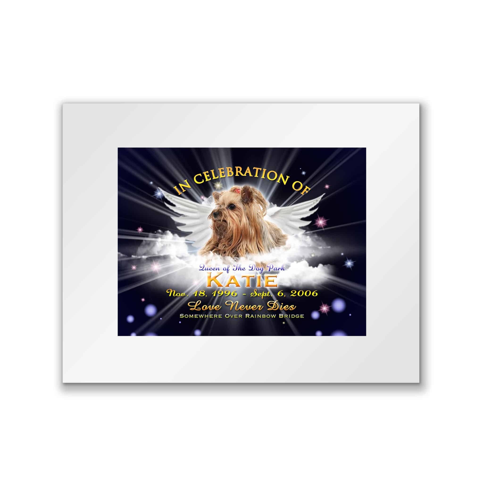 TWingsMidnightMattWhite TWingsMidnightMattWhite