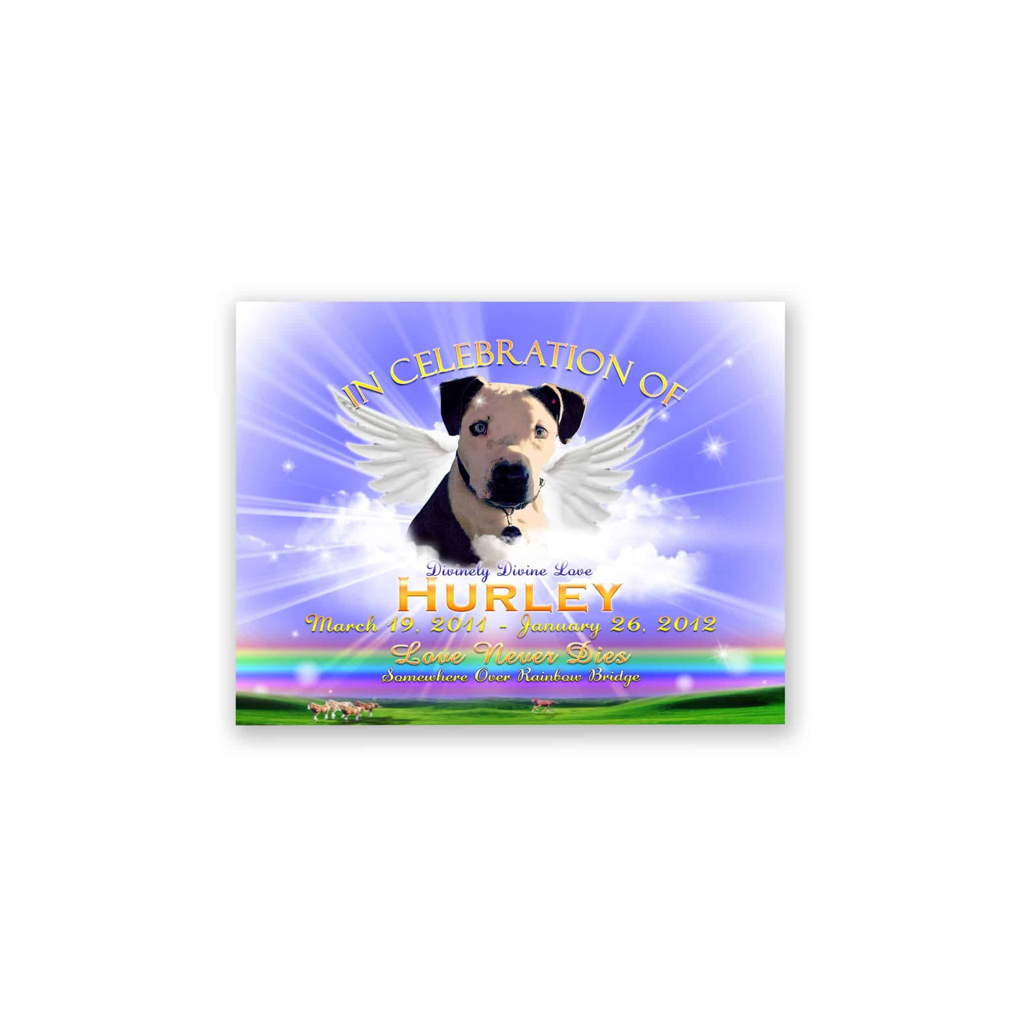 TWingsRainbowBlue TWingsRainbowBlue