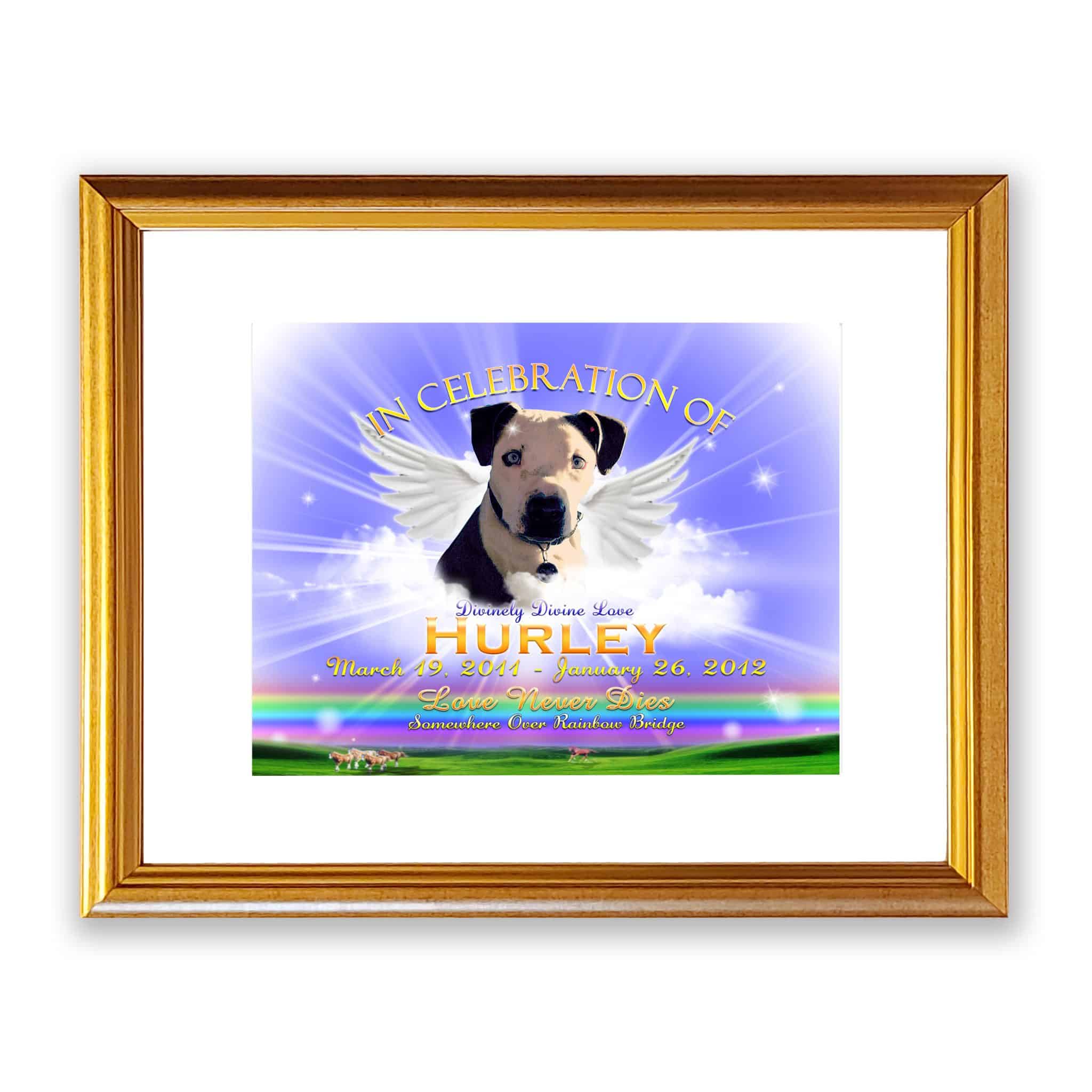 TWingsRainbowBlueFrameMatt TWingsRainbowBlueFrameMatt