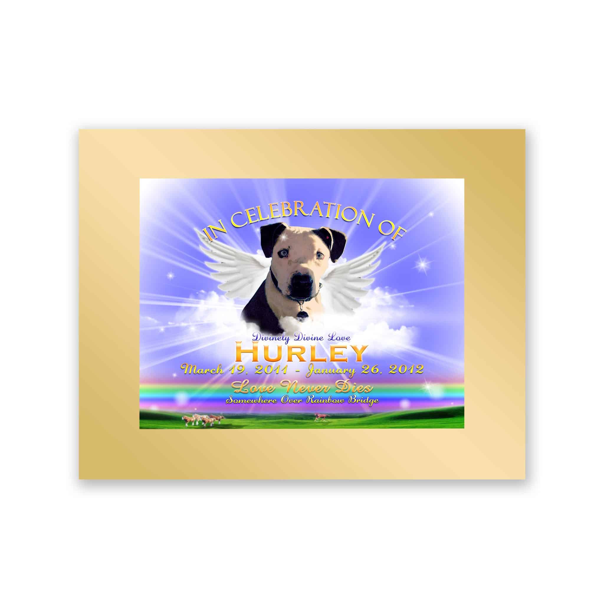 TWingsRainbowBlueMattGold TWingsRainbowBlueMattGold