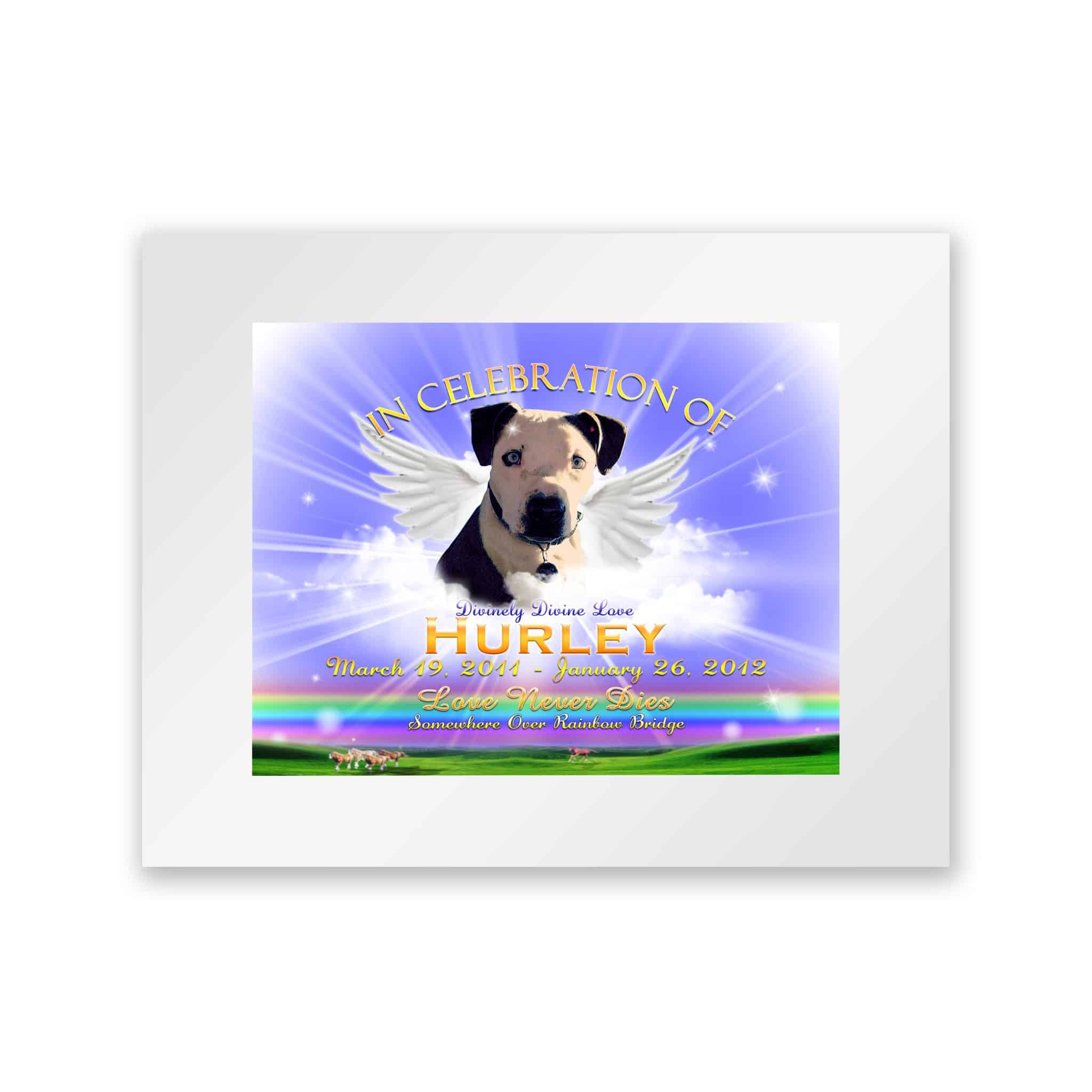 TWingsRainbowBlueMattWhite TWingsRainbowBlueMattWhite