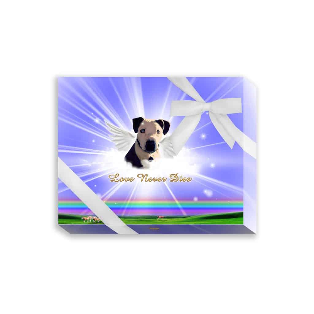 TWingsRainbowBluePresentationBox D