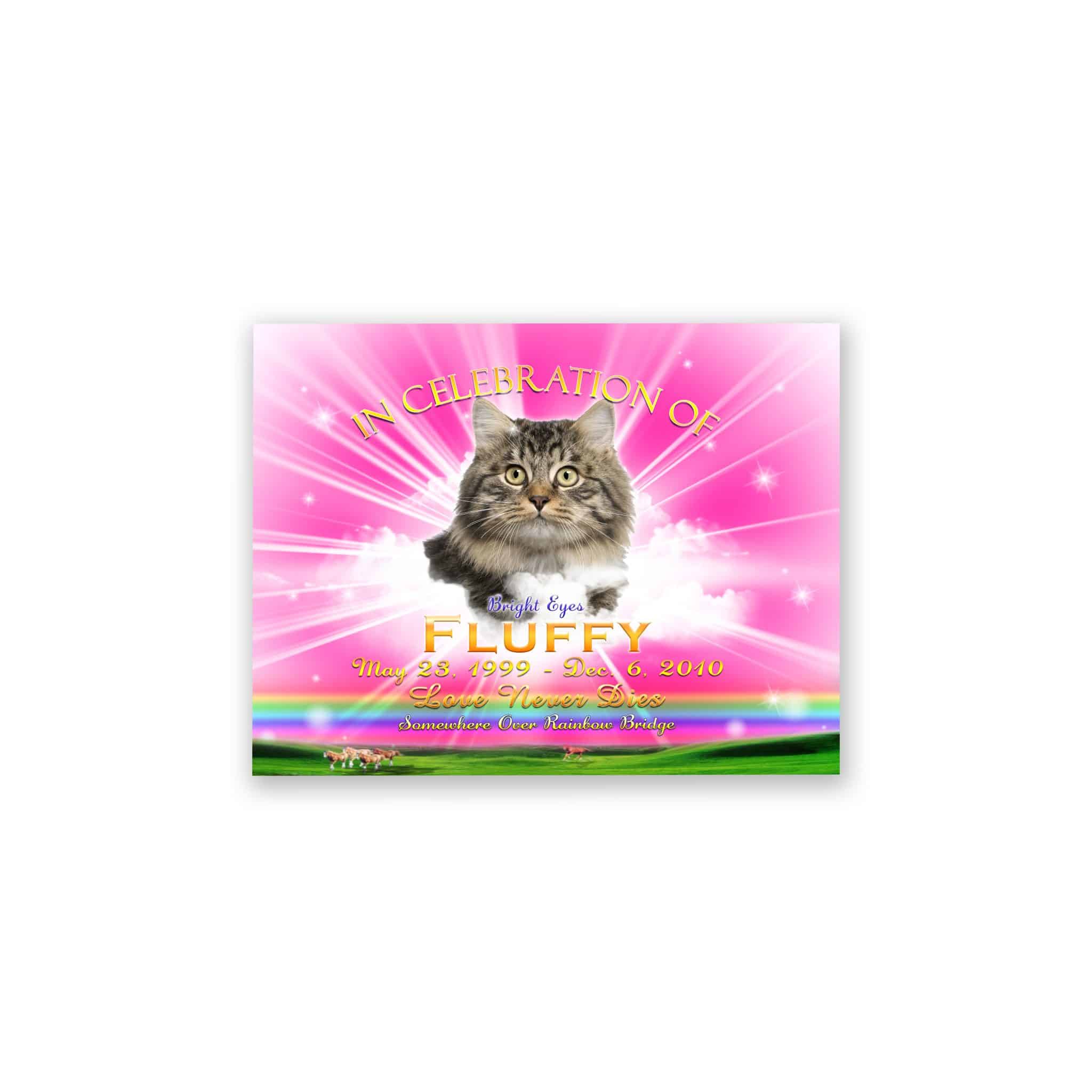 TributeRainbowPink TributeRainbowPink