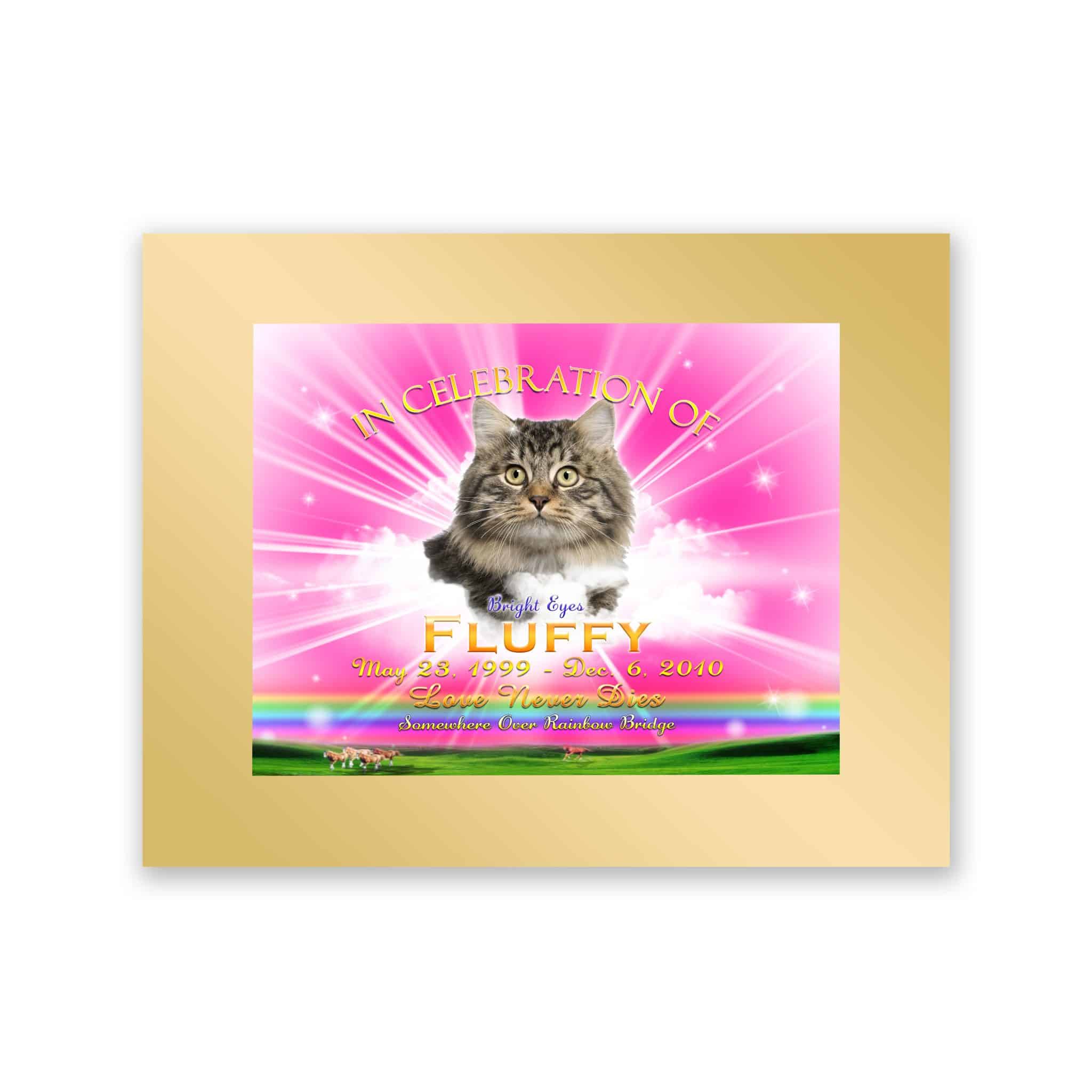 TributeRainbowPinkMattGold TributeRainbowPinkMattGold