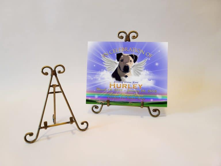 EaselBrassTWingsRBlue