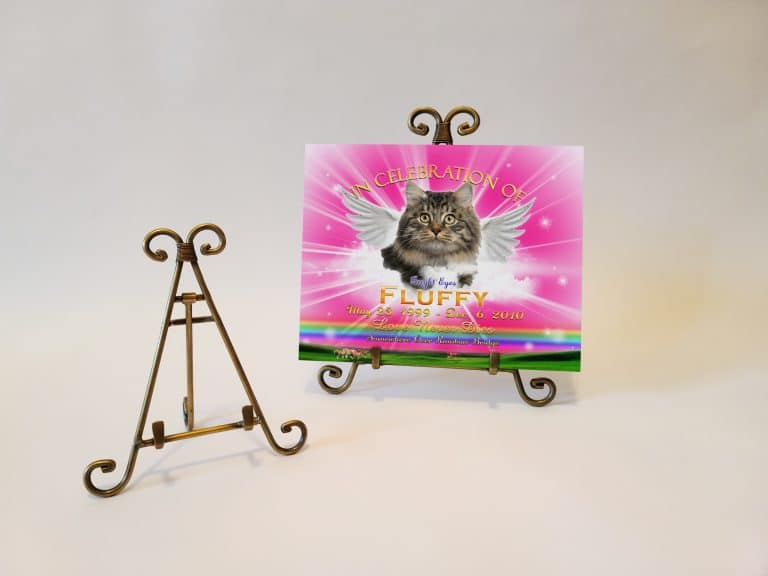 EaselBrassTWingsRPink