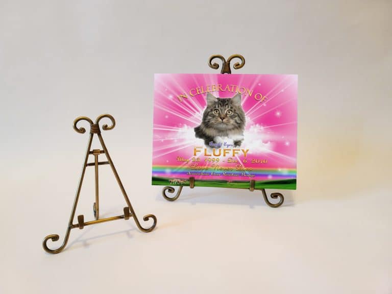 EaselBrassTributeRPink