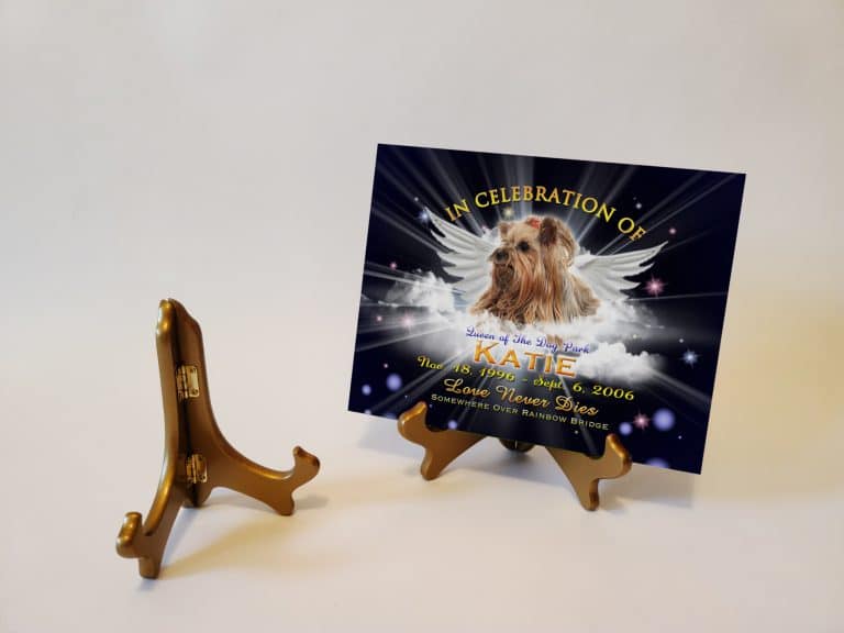 EaselGoldTWingsMidnight