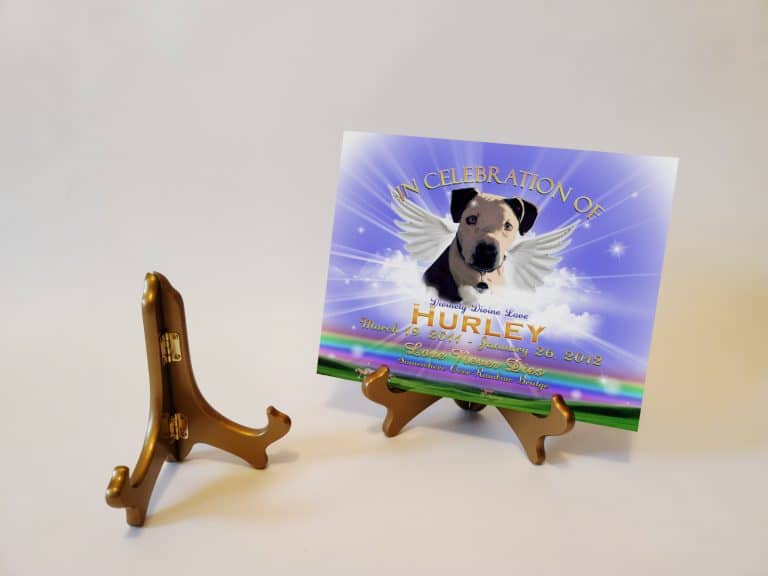 EaselGoldTWingsRBlue