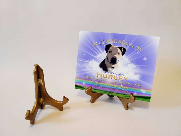 EaselGoldTributeRBlue