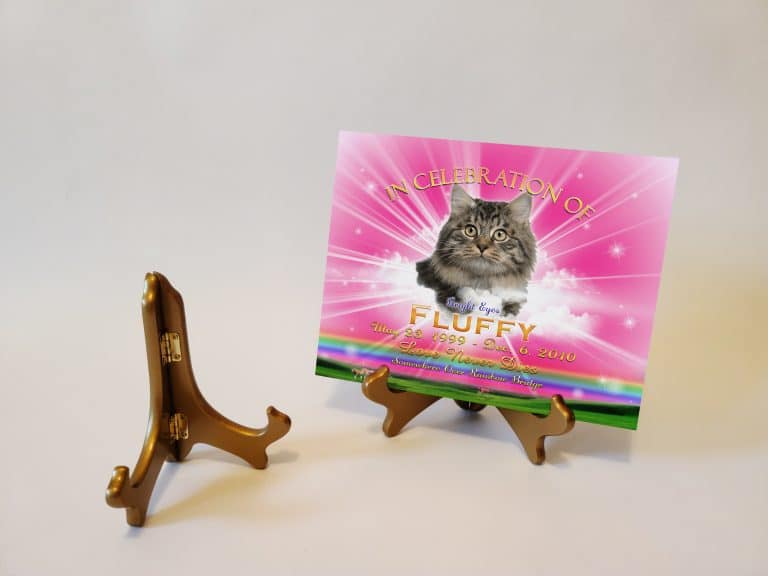 EaselGoldTributeRPink