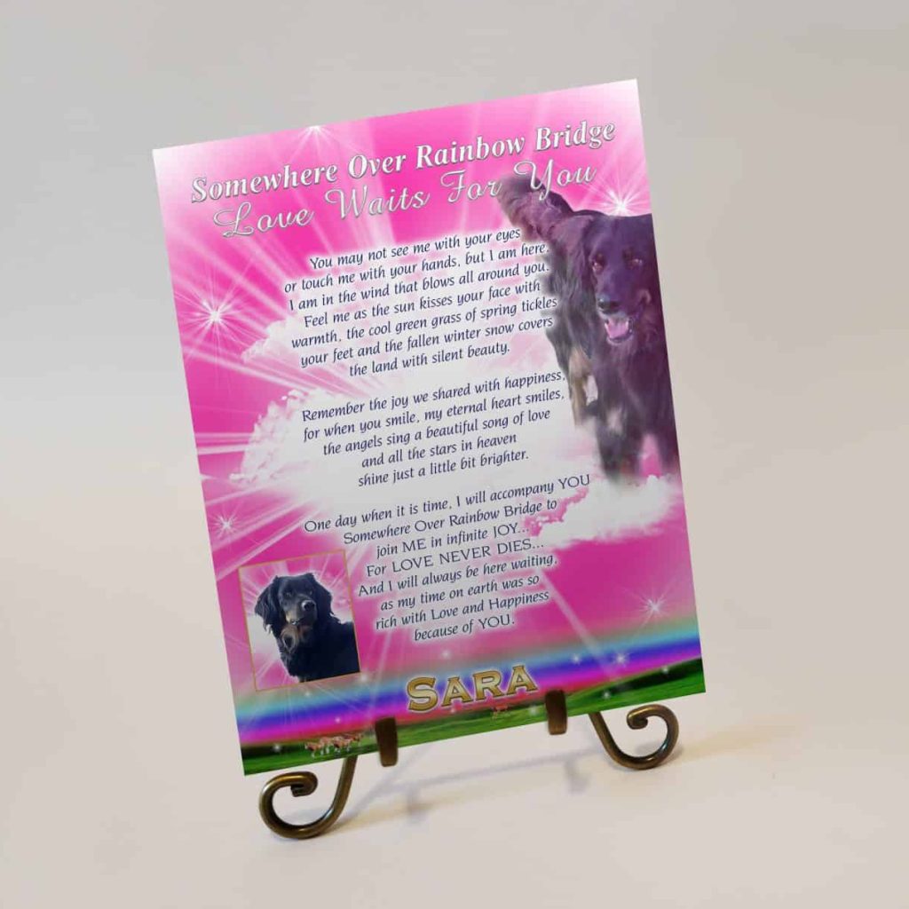 Message RainbowPink easel sara